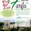 Fiori in Farfa