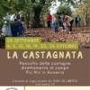 La Castagnata