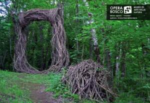 Opera Bosco, Museo di Arte nella Natura