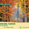 Tra i colori del Tarino – Il bosco tavolozza d’autunno