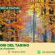 Tra i colori del Tarino – Il bosco tavolozza d’autunno