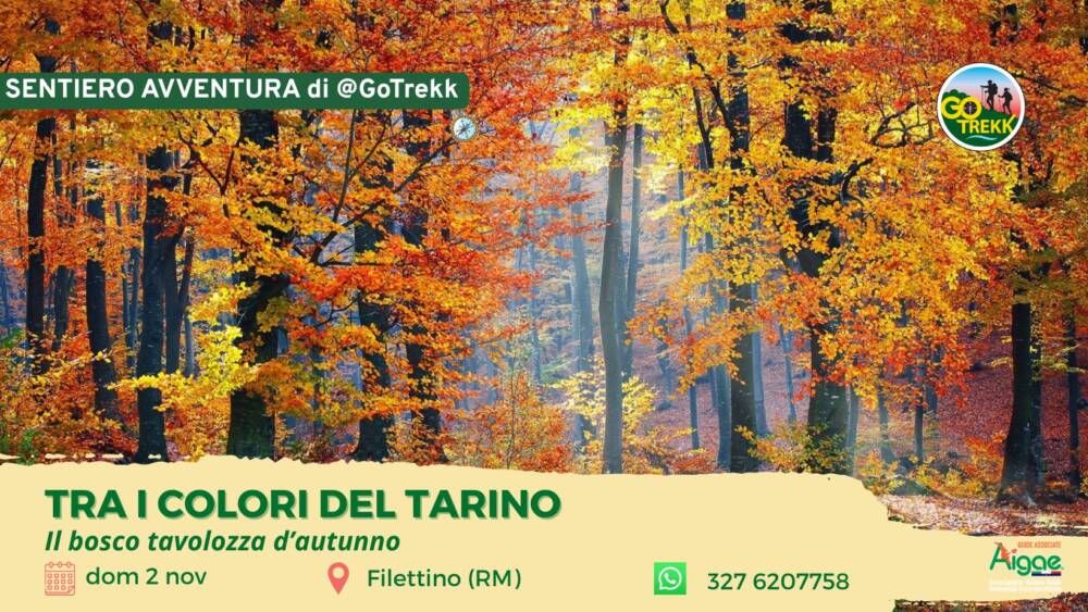Tra i colori del Tarino – Il bosco tavolozza d’autunno