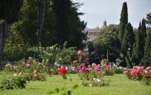 Roseto Comunale di Roma