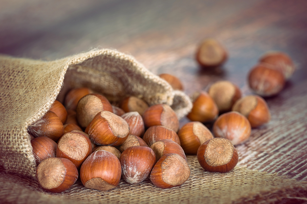 Frutta secca nocciole