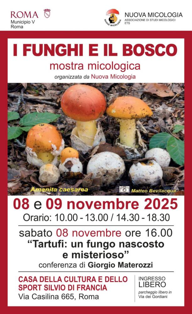Mostra "I funghi e il bosco"