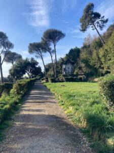 Monte Mario e Parco Mellini: Il Punto Panoramico Più Alto di Roma