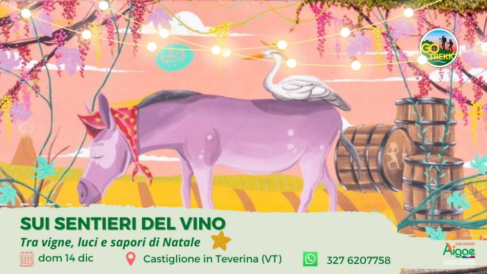 Sui sentieri del vino. Tra vigne, luci e sapori di Natale