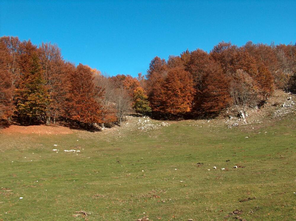 Fossa Juanna Foto di Anna Molisso