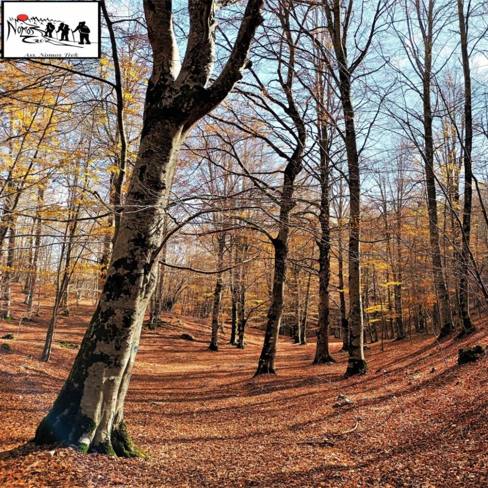 Autunno sui Simbruini: faggete e pianori intorno a Livata