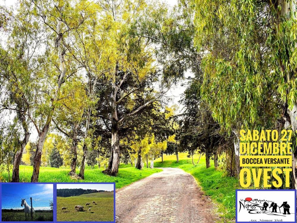 La Campagna di via Boccea