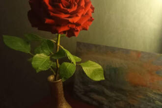 ROSSO MERAVIGLIA, energia e vitalità