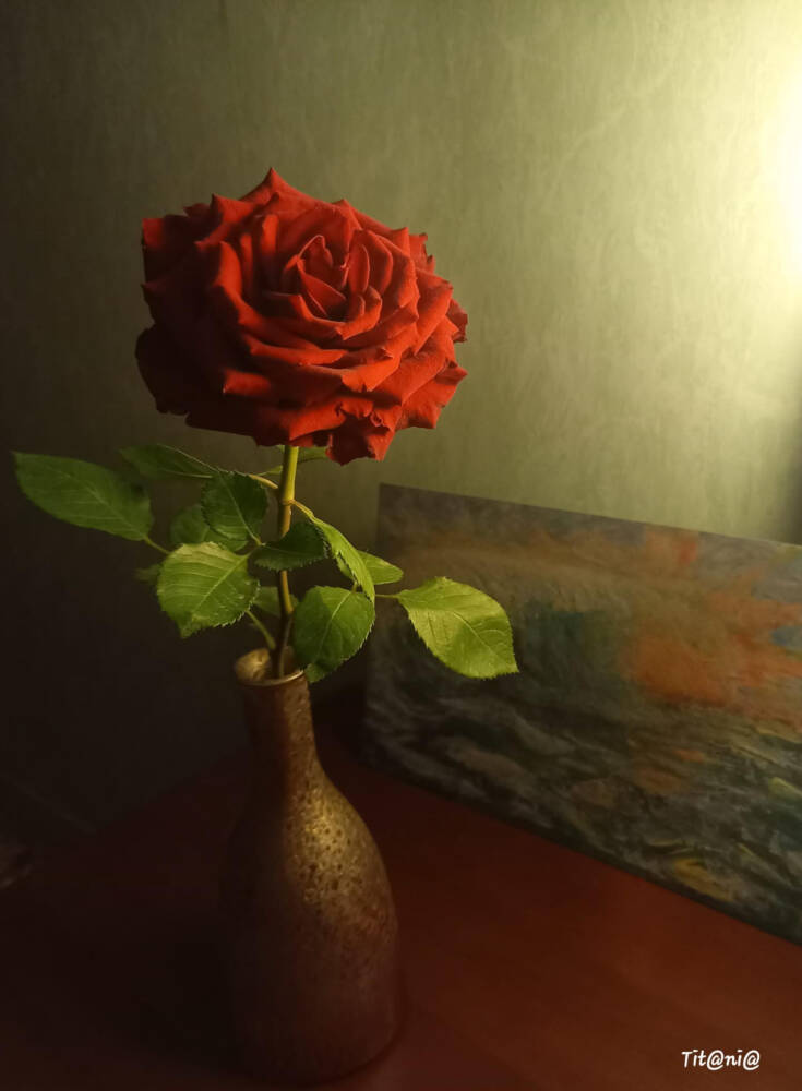 ROSSO MERAVIGLIA, energia e vitalità