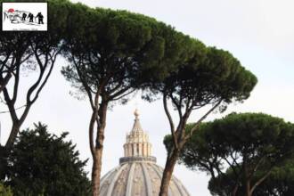 Trek urbano intorno a San Pietro