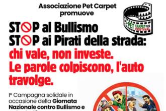 Bullismo e pirati della strada