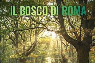 Il bosco di Roma: nella Riserva di Monte Mario Il bosco di Roma: nella Riserva di Monte Mario