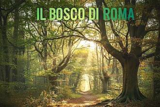 Il bosco di Roma : trek nella riserva di Monte Mario