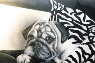 Animalier, alla Galleria Studio CiCo