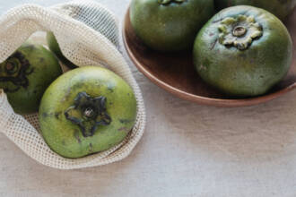 Black Sapote