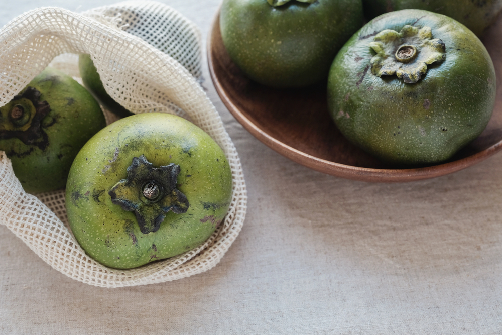 Black Sapote