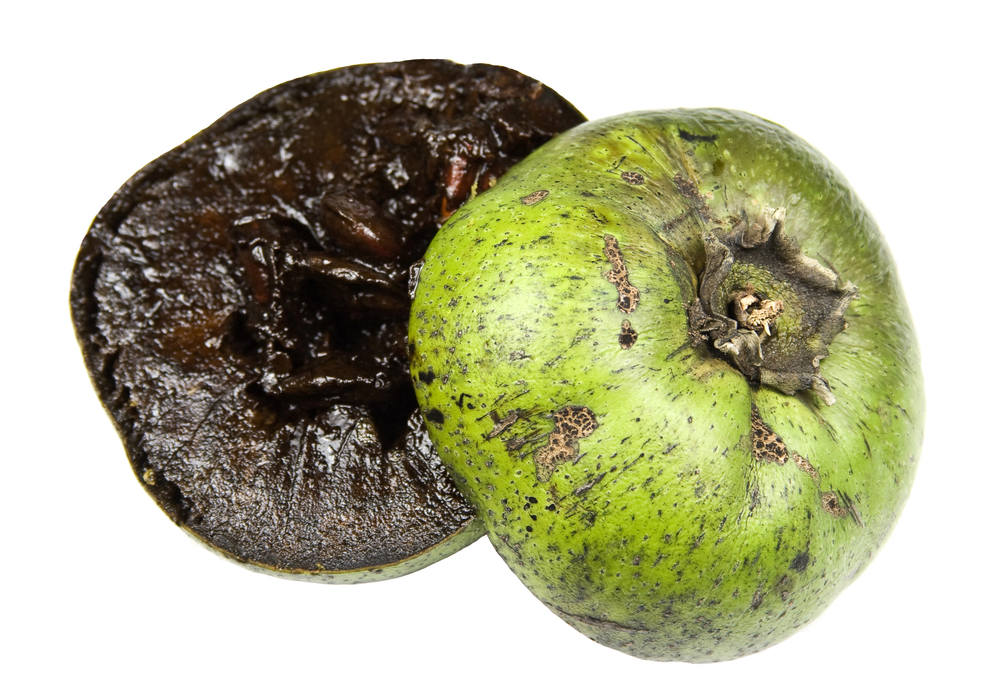 Black Sapote - il frutto del budino al cioccolato Black Sapote