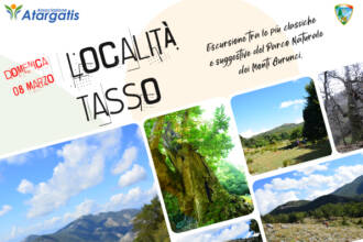 Monte Belvedere Monte Belvedere