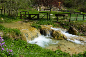 giardino cinque sensi