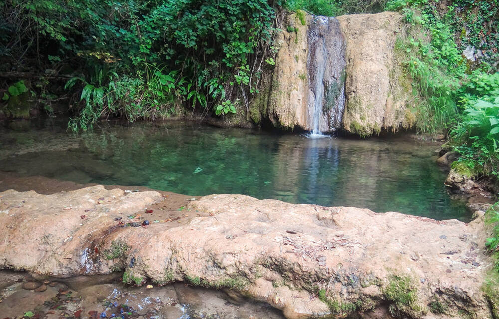 Il Giardino dei Cinque Sensi giardino cinque sensi