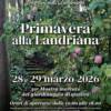 Primavera alla Landriana