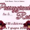 Passeggiando tra le Rose