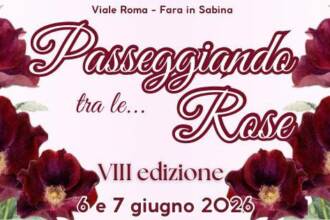 Passeggiando tra le Rose