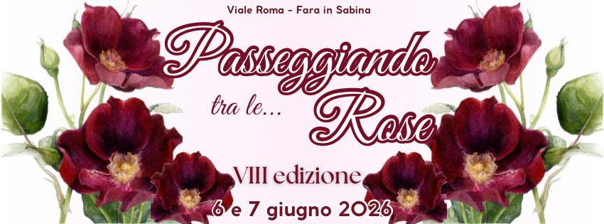 Passeggiando tra le Rose