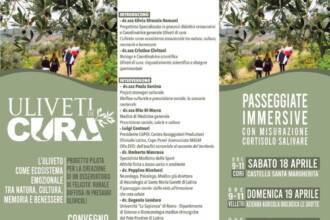Uliveti di Cura
