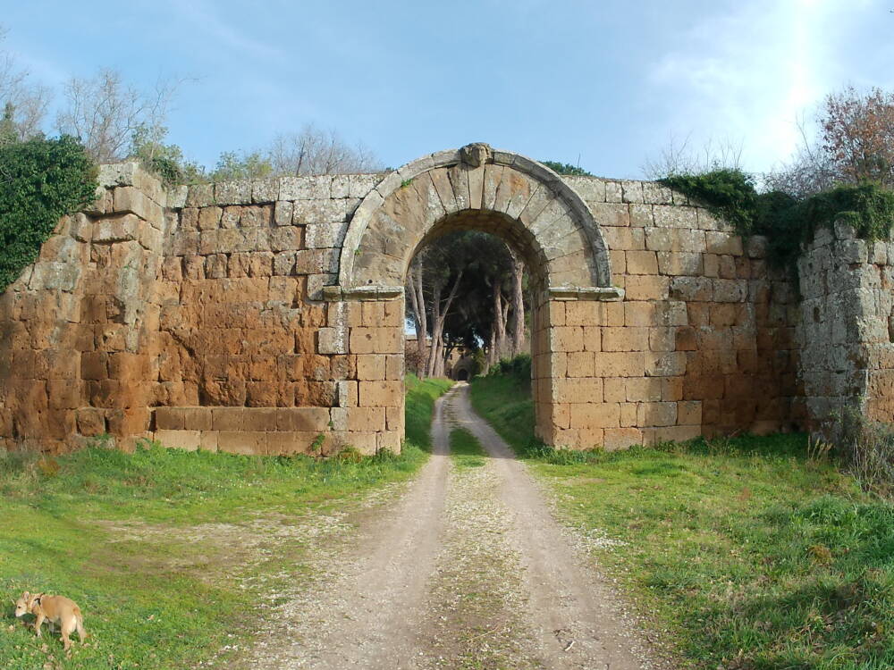 Cavo degli Zucchi e Falerii Novi Falerii Novi
