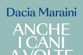 Anche i cani a volte volano