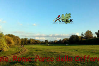 Corso di Nordic Walking nel Parco della Caffarella