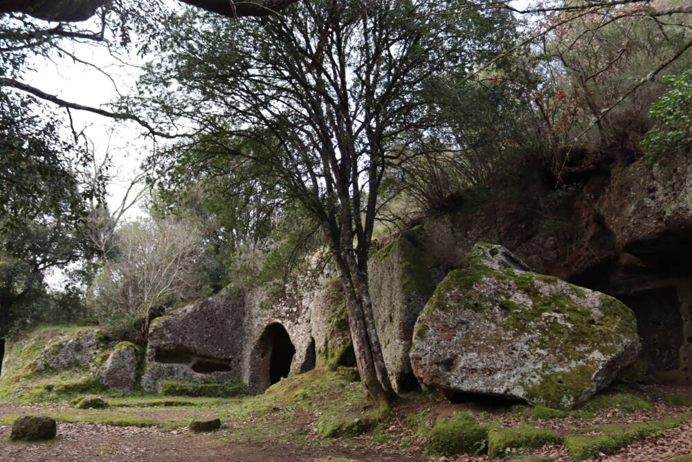 Cavo degli Zucchi e Falerii Novi Cavo degli Zucchi
