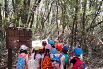 Primavera nell'Oasi Affiliata WWF di Castel Romano