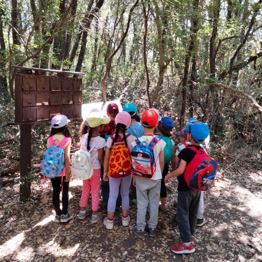 Primavera nell'Oasi Affiliata WWF di Castel Romano