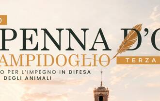 Penna d’Oca del Campidoglio