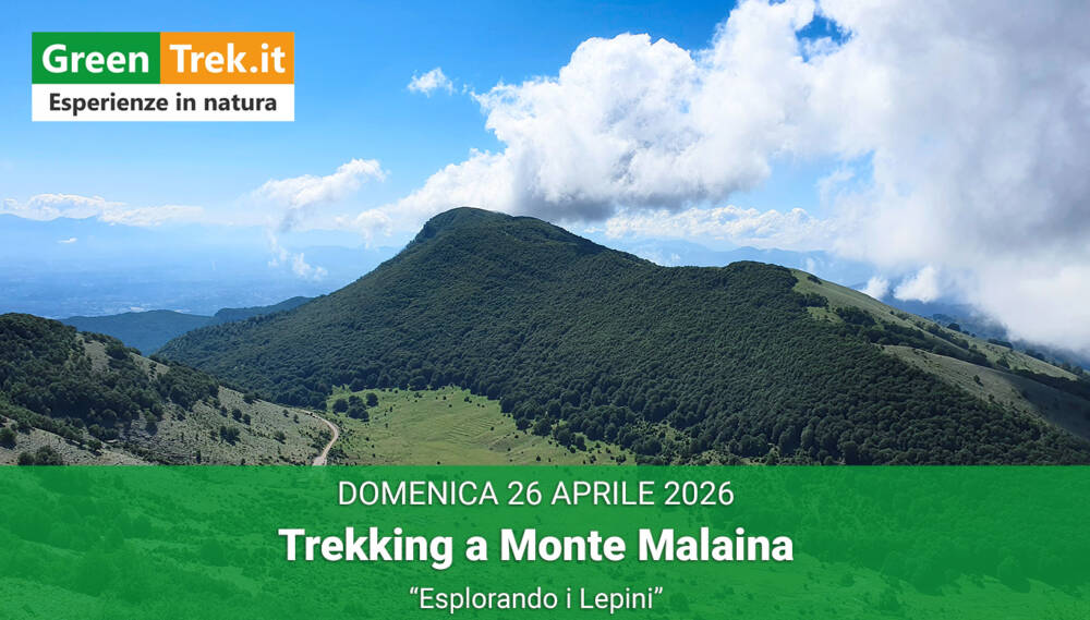 Musica, Spettacoli e Danza nel Lazio nel Lazio Trekking a Monte Malaina - "Esplorando i Lepini"