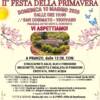 Festa della Primavera Festa della Primavera
