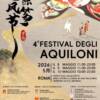 Festival degli Aquiloni