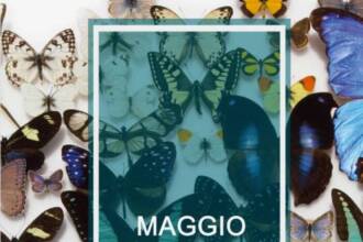 Eventi nel Lazio: Sagre, Concerti e Cosa Fare