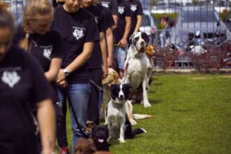 Torna il Dog Training a Castel Romano Torna il Dog Training a Castel Romano