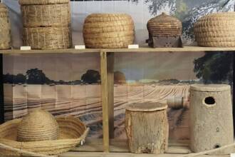 museo del miele