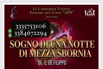 Sogno di una notte di mezza sbornia
