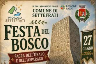 Festa del Bosco