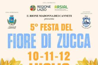 Festa del Fiore di Zucca