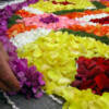 Infiorata del Sacro Cuore Infiorata del Sacro Cuore