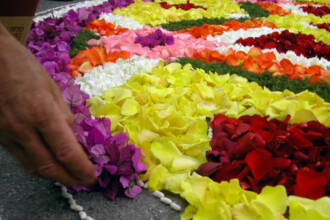 Infiorata del Sacro Cuore Infiorata del Sacro Cuore